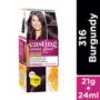 LOreal Paris Burgundy Hair Colour 316 21g +24 ml