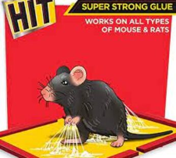 Hit Rat Glue Pad 1 N 60 RS.