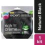 Godrej Expert Natural Black Cream Hair Colour 20g+20ml (no.1.00)