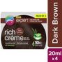 Godrej Expert Black Brown Cream Hair Colour 20g+20ml (no.3.00)