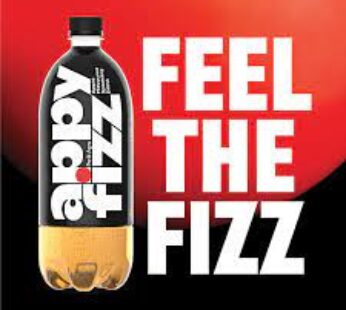 Appy Fizz Apple Juice Based Drink 250 ml Bottle