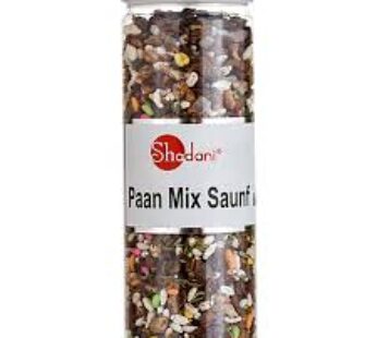 Shadani Paan MIx Saunf 100g