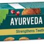 Himalaya Ayurveda Gum Care Toothpaste 80 g